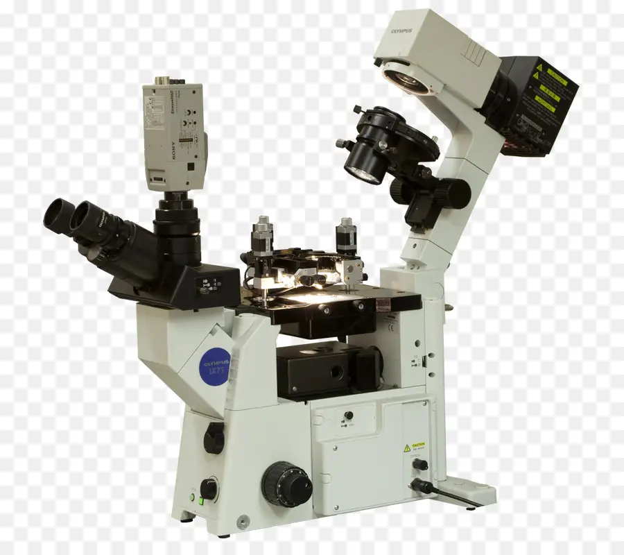 Microscopio，Microscopía De Sonda PNG