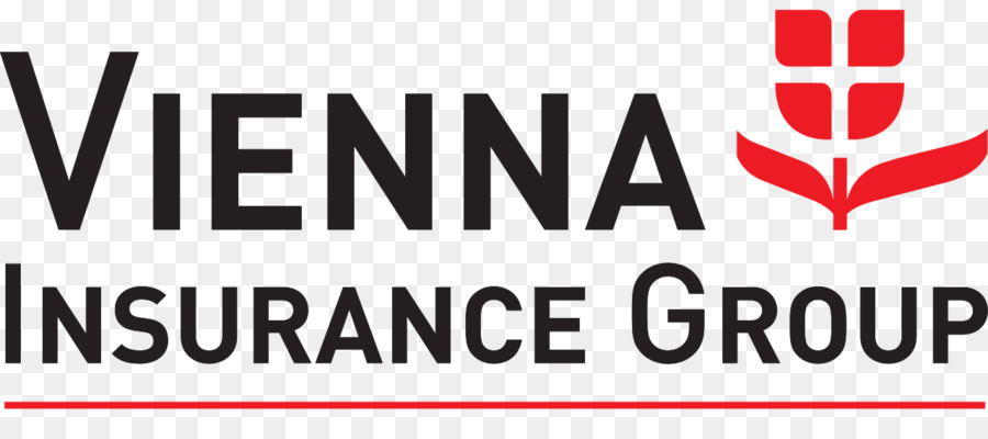 Vienna Insurance Group，Seguro PNG