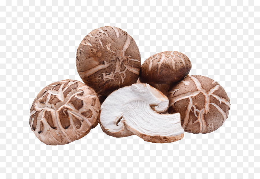 Seta Común，Shiitake PNG