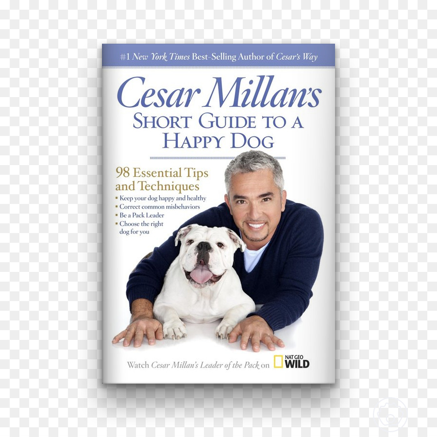 Libro De Adiestramiento Canino，César Millán PNG