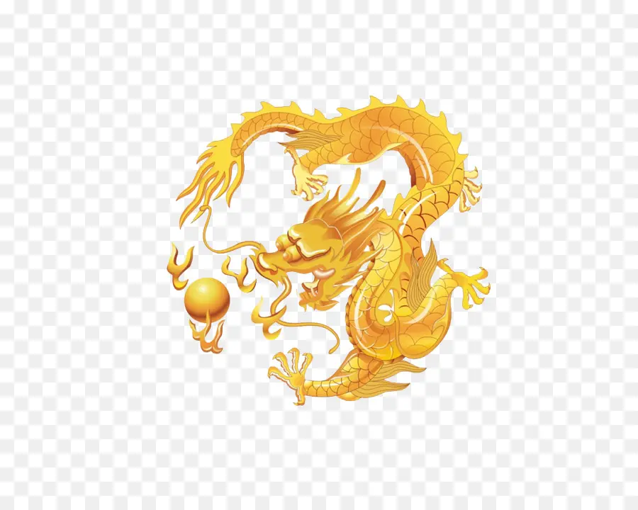 Dragón Dorado，Chino PNG