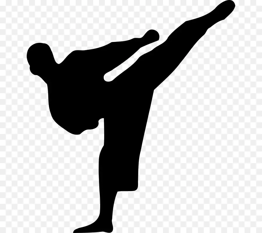 Silueta De Kárate，Artes Marciales PNG