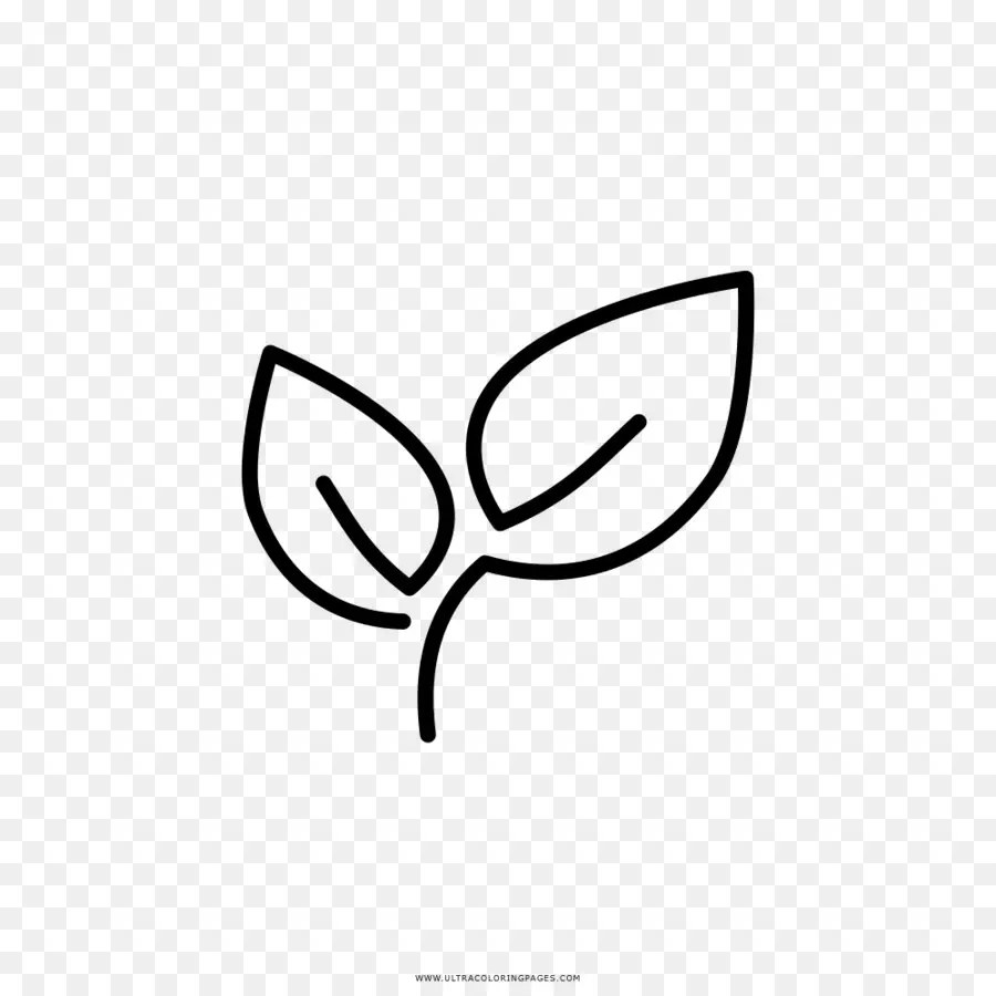 Icono De Hoja，Planta PNG