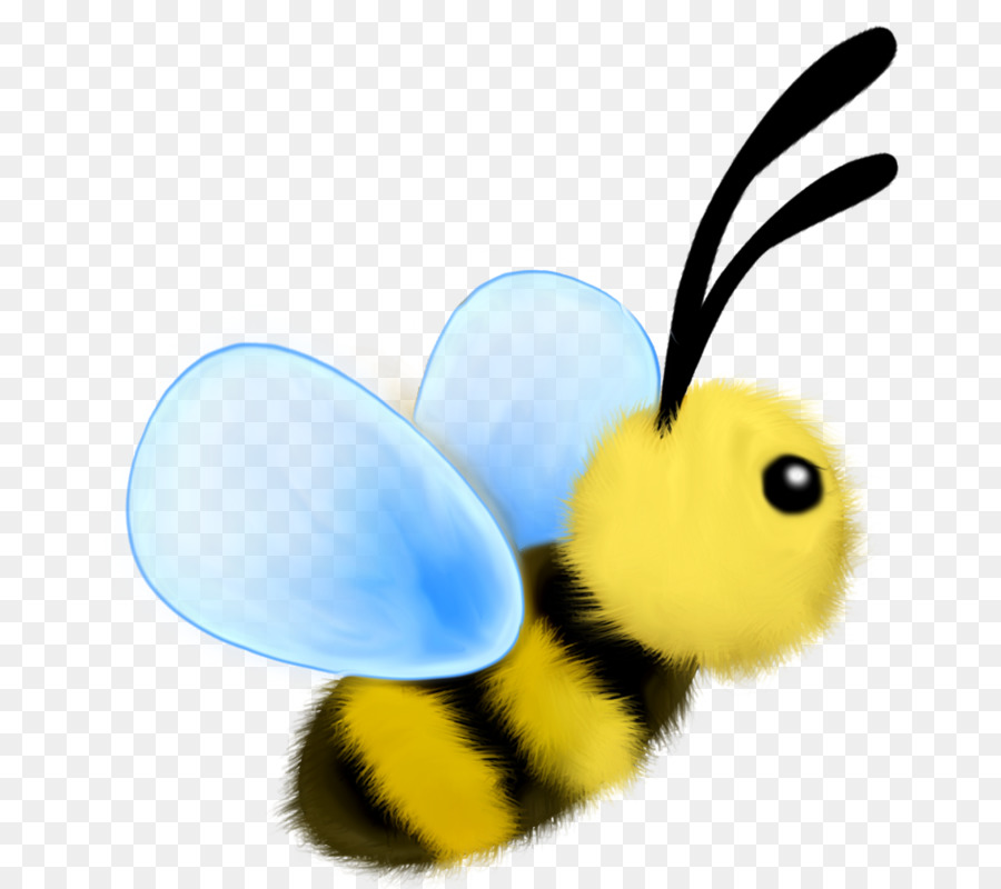 Abeja，Alas PNG