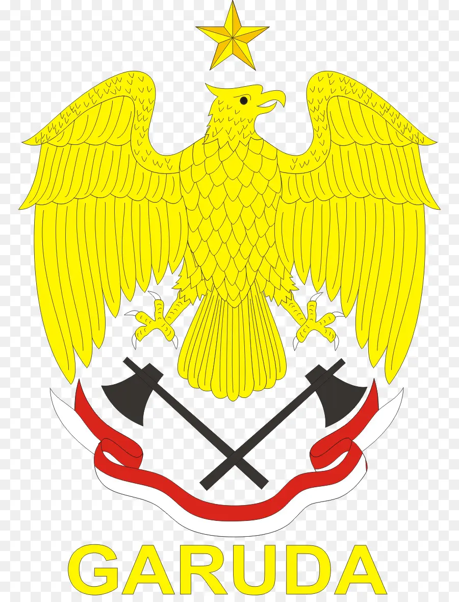 315ª De Infantería Battaliongaruda，De Infantería PNG