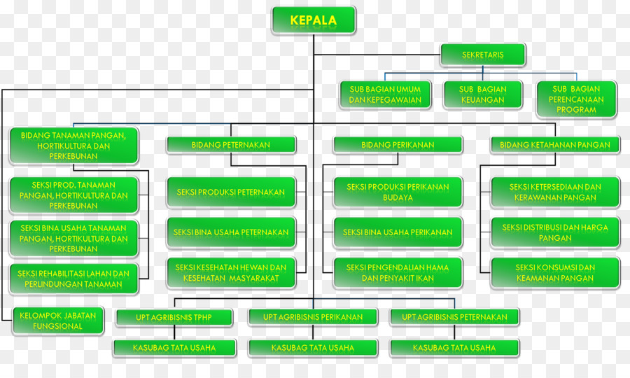 Organización，Estructura De La Organización PNG