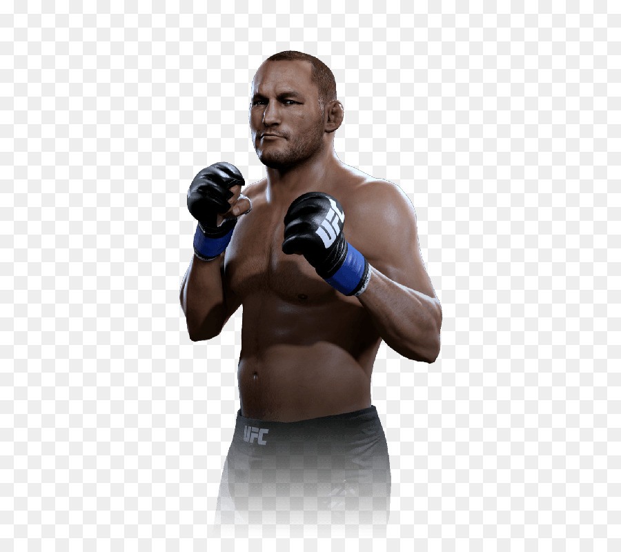 Conor Mcgregor，Ufc 194 Aldo Vs Mcgregor PNG