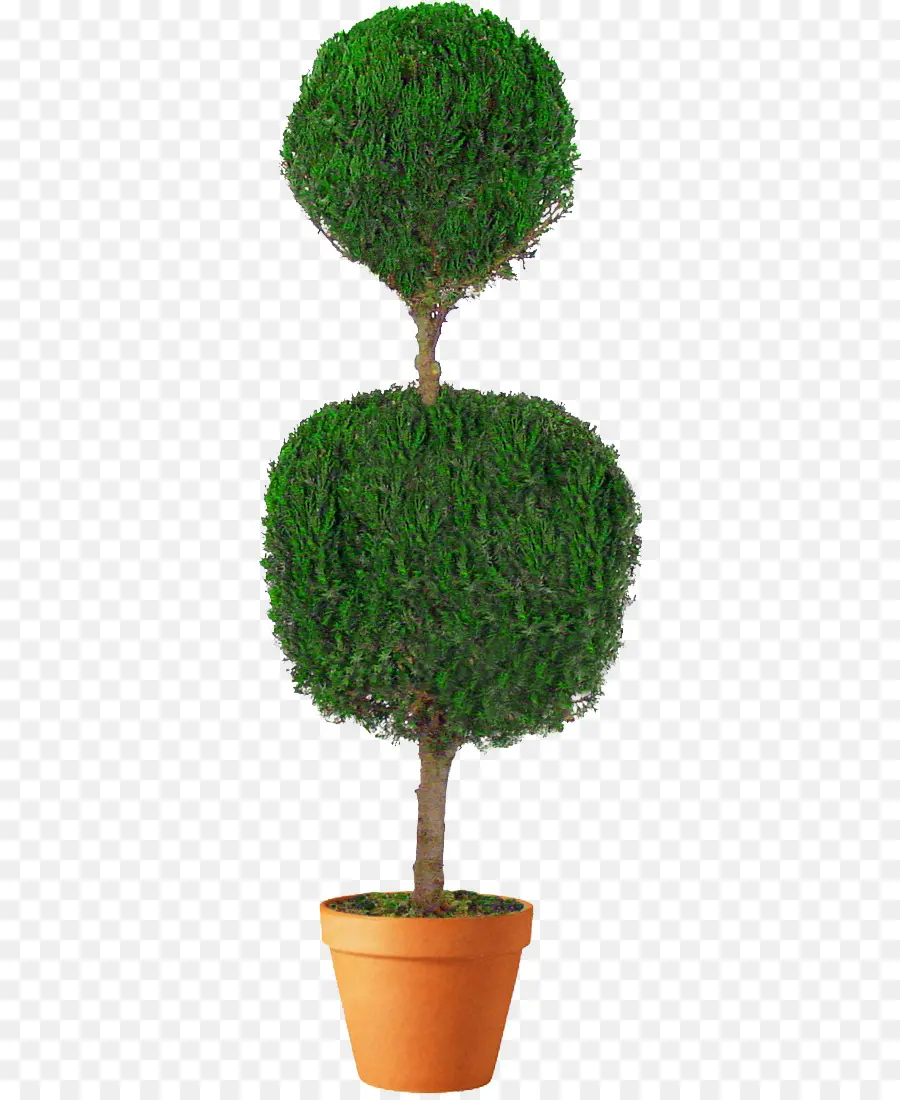 Topiario，árbol PNG