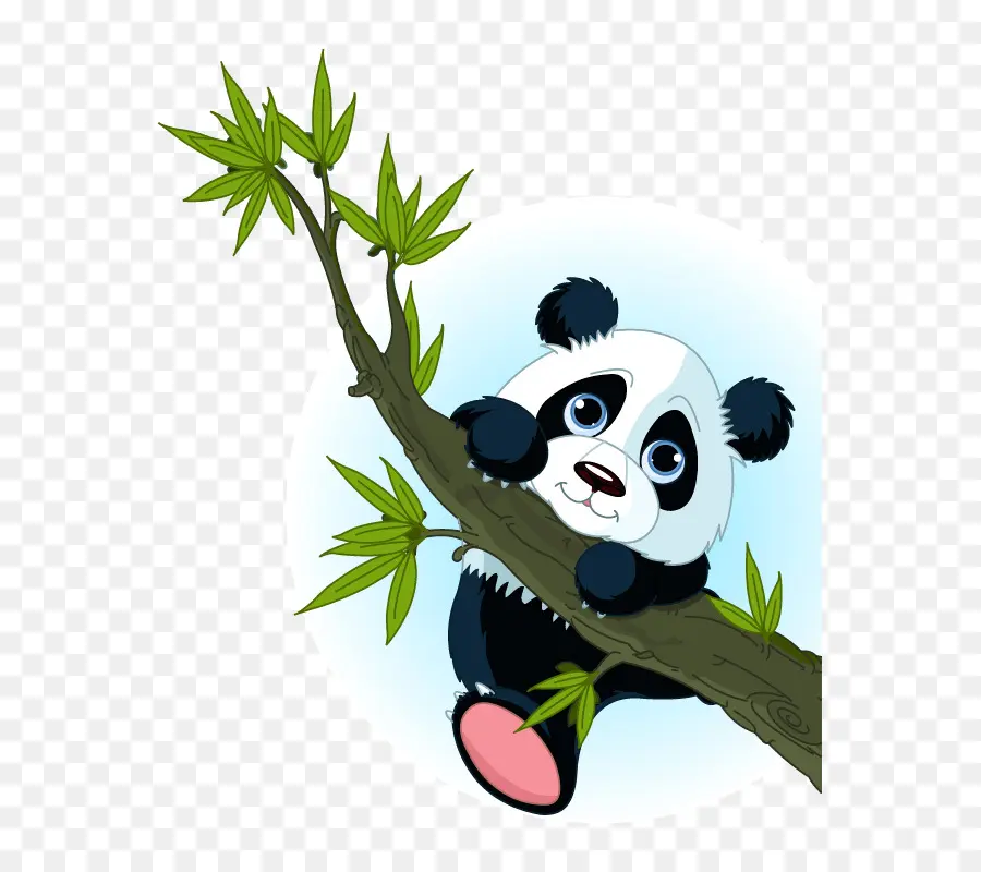 El Panda Gigante，El Panda Rojo PNG