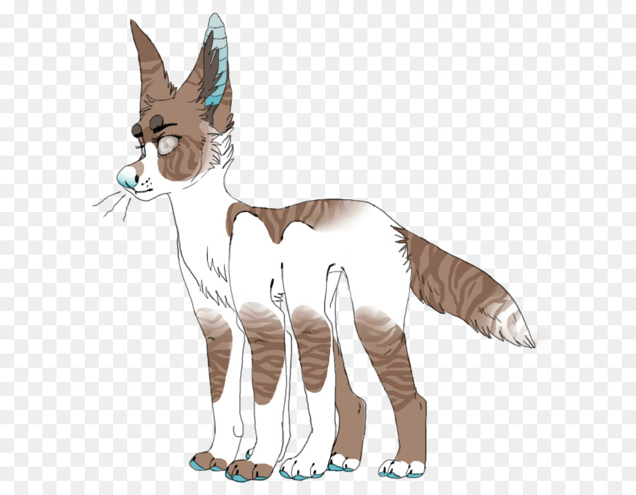 Gato，Felino PNG