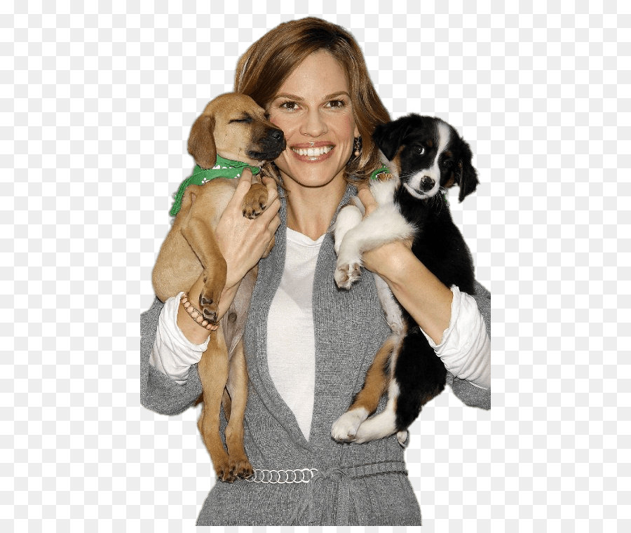 Hilary Swank，Cachorro PNG