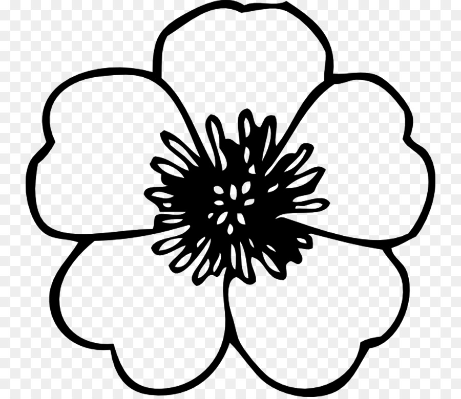 Flor，Blanco PNG