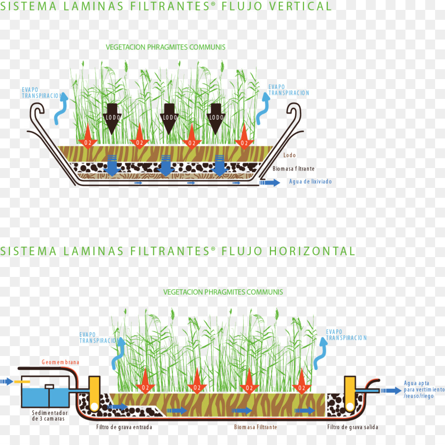 Los Recursos De Agua，Árbol PNG