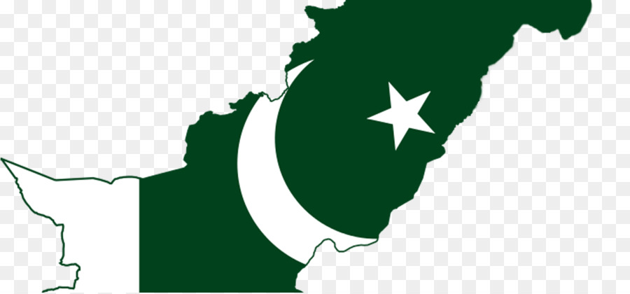 Pakistán，Bandera De Pakistán PNG