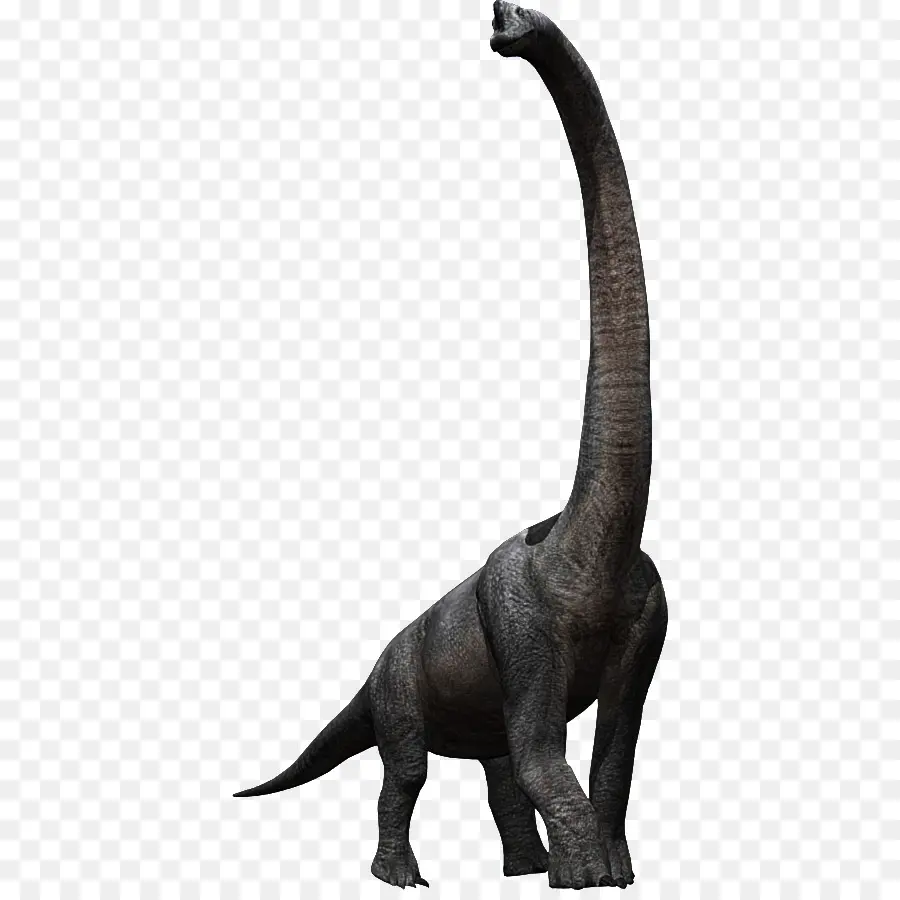 Tyrannosaurus，Brachiosaurus PNG