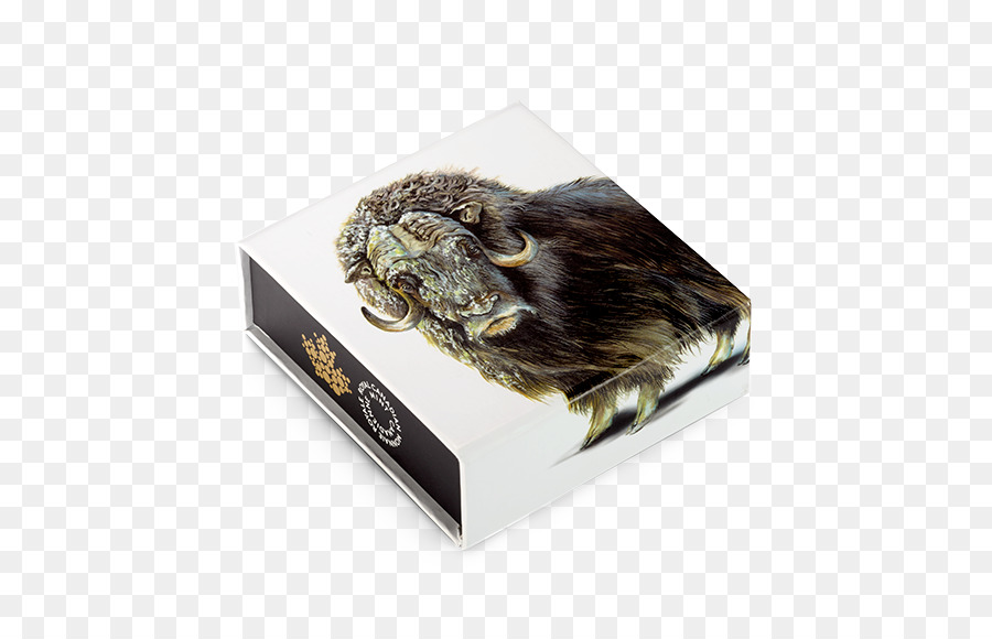 Muskox，Buey PNG