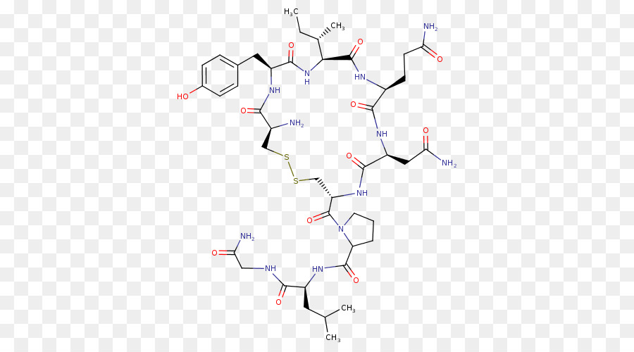 Péptido，La Síntesis De Péptidos PNG