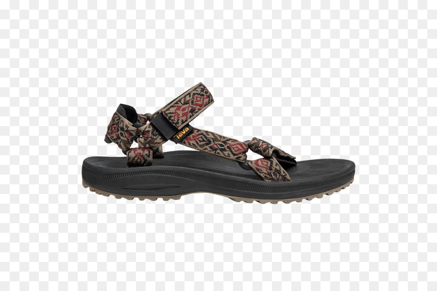 Zapatilla，Sandalia PNG