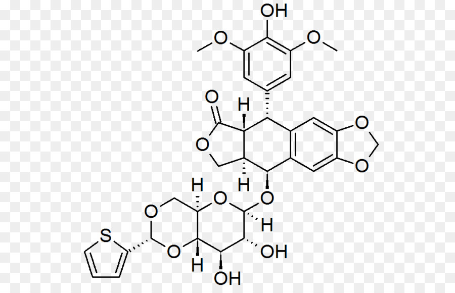 Estructura Química，Molécula PNG