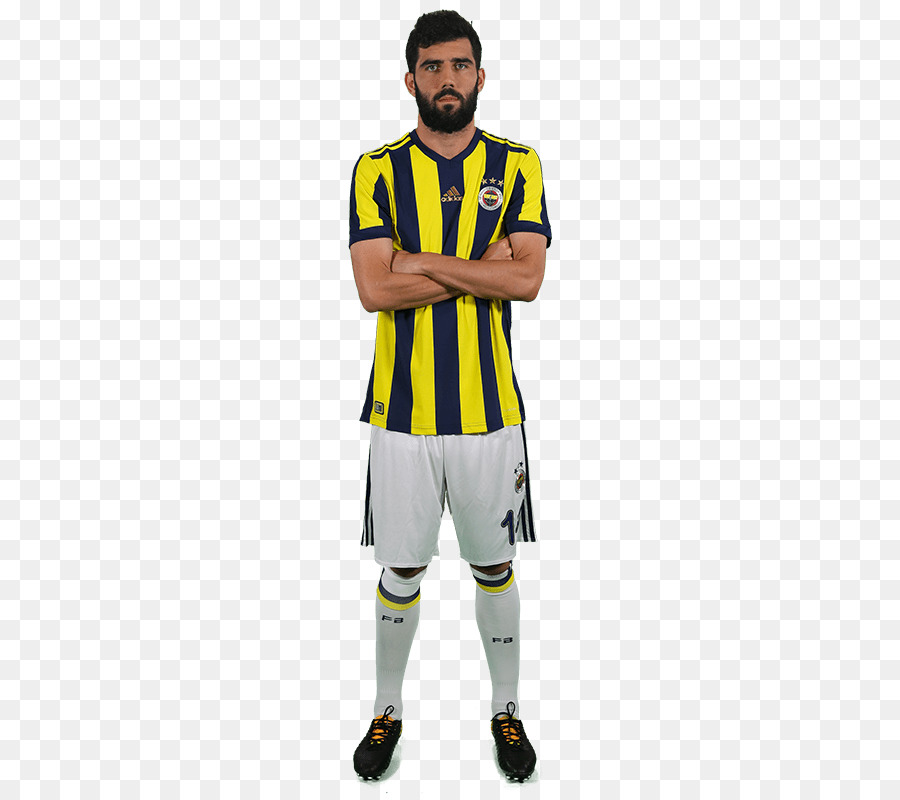 Hasan Ali Pavimento，El Fenerbahçe Sk PNG