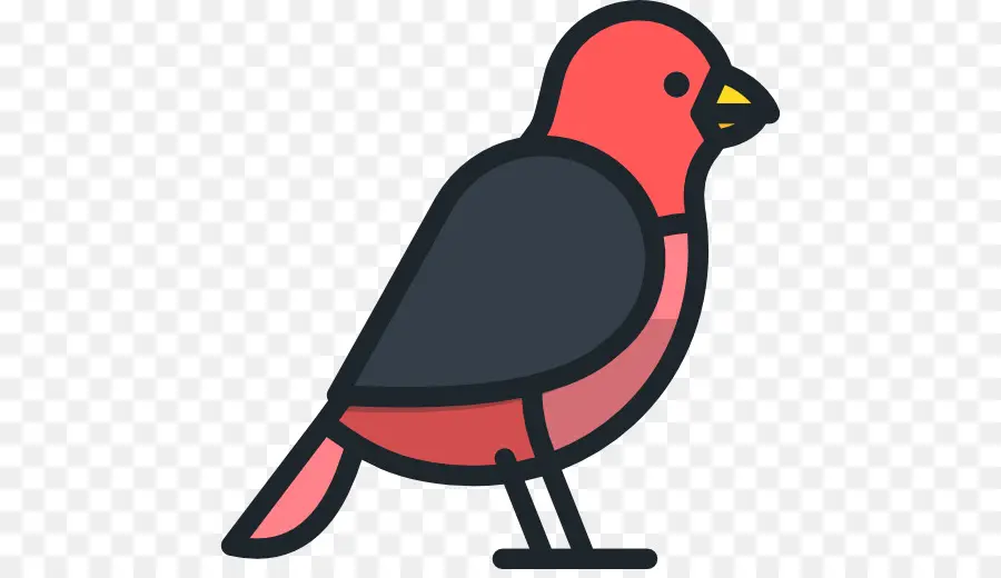 Pájaro，Plumas PNG