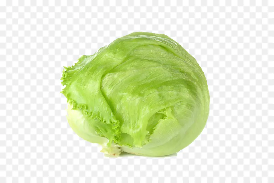 Lechuga，Verde PNG