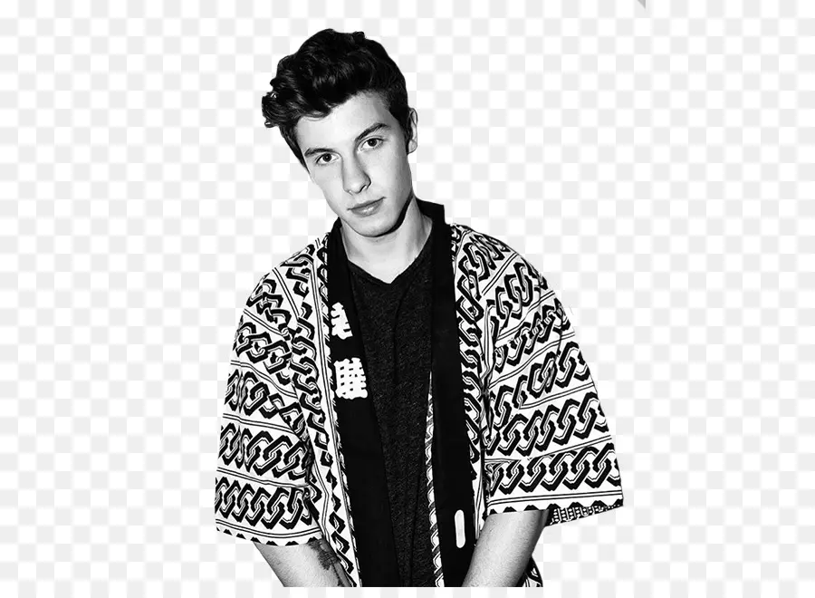 Shawn Mendes，No Hay Nada A Ti Y A Mí De Vuelta PNG