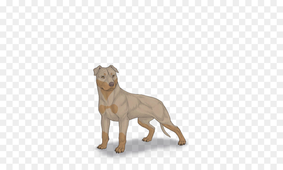 Perro Marrón，Mascota PNG