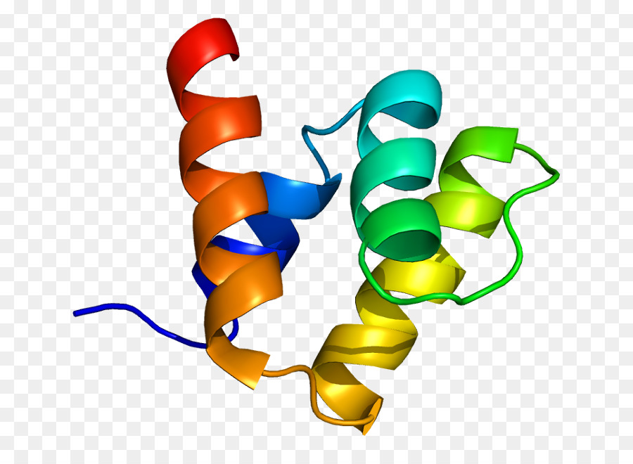 Estructura Proteica，Molécula PNG