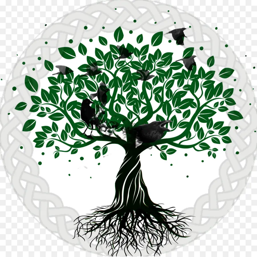 árbol De La Vida，árbol PNG