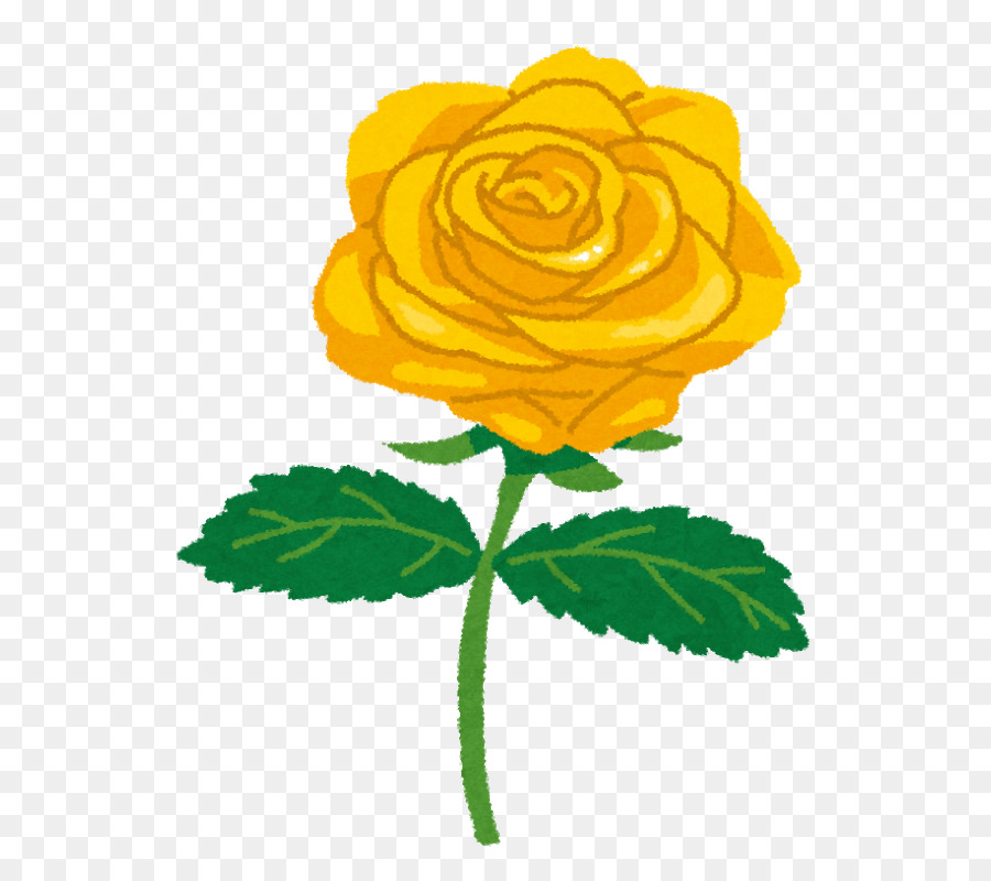 Rosa，Color PNG