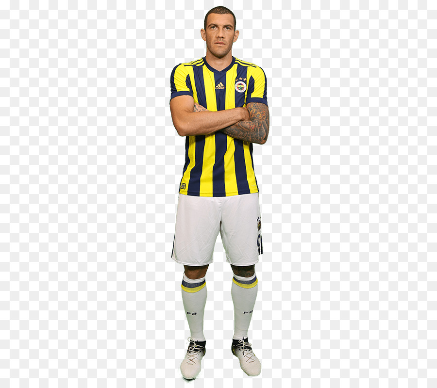 Hasan Ali Pavimento，El Fenerbahçe Sk PNG