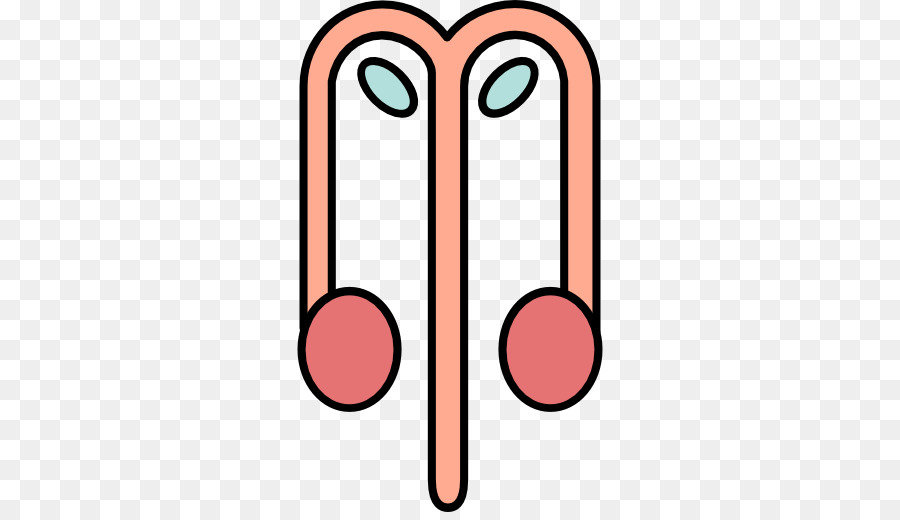 Urolife Holístico De La Atención Renal De Piedra De La Clínica，Clínica PNG