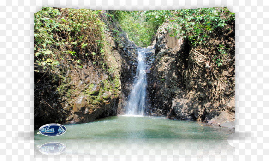 Cascada，La Reserva Natural De PNG