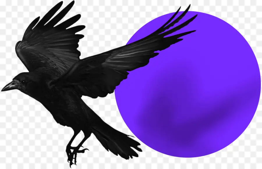 Pájaro Negro，Vuelo PNG