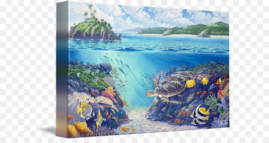 La Tortuga De La Isla De Fiji，Pintura PNG