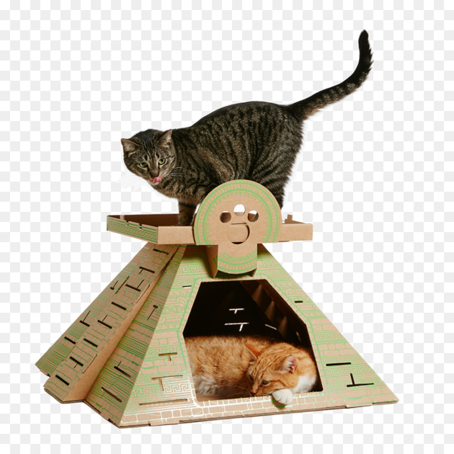 Gato，Papel PNG