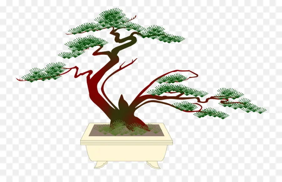 Bonsai，árbol PNG