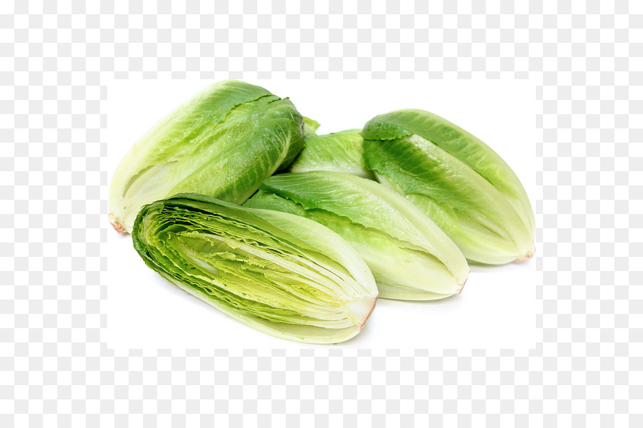 Lechuga Romana，Alimentos Orgánicos PNG