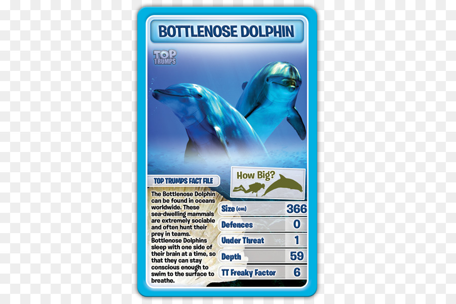 Dolphin，Top Trumps PNG