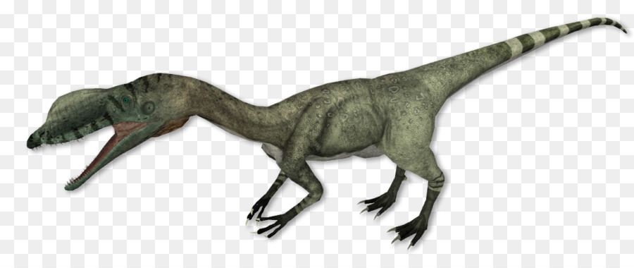 Liliensternus，Procompsognathus PNG