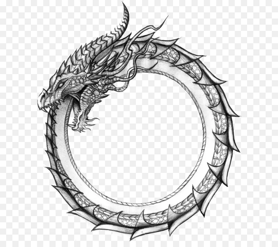 Ouroboros，Dragon PNG