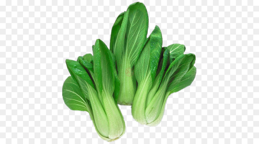 Bok Choi，Verde PNG