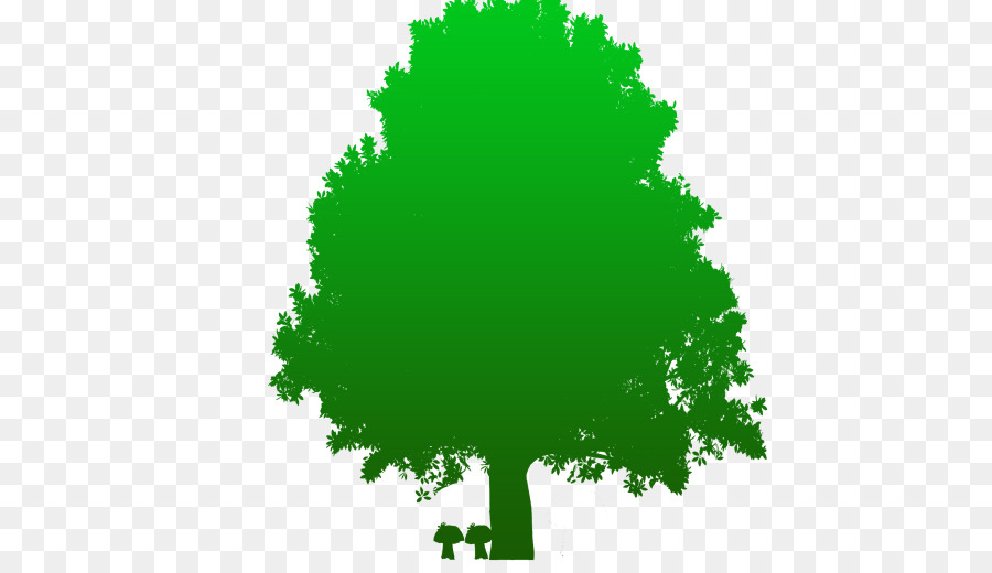 árbol，Círculo PNG