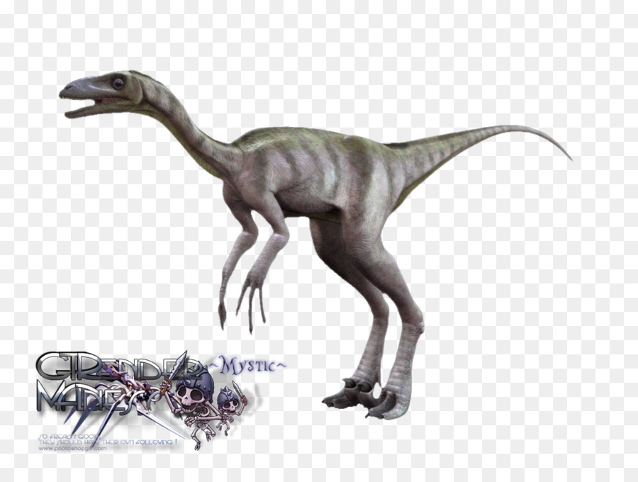 Velociraptor，Troodon PNG