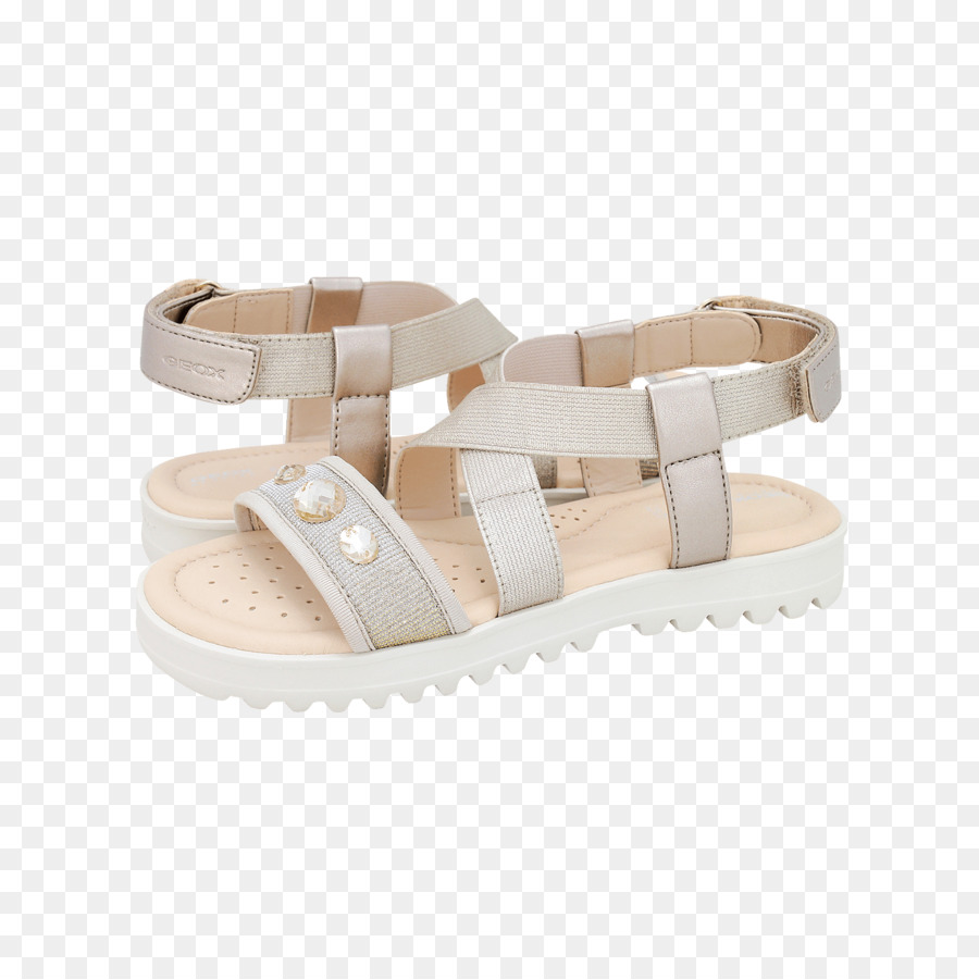 Sandalia，Zapato PNG