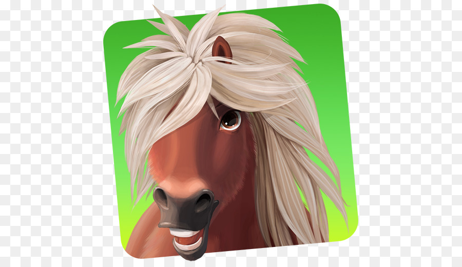 Horse Haven World Adventures，Caballo PNG