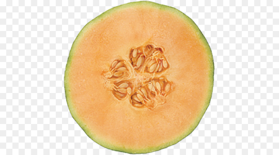 Melón，Melón Galia PNG