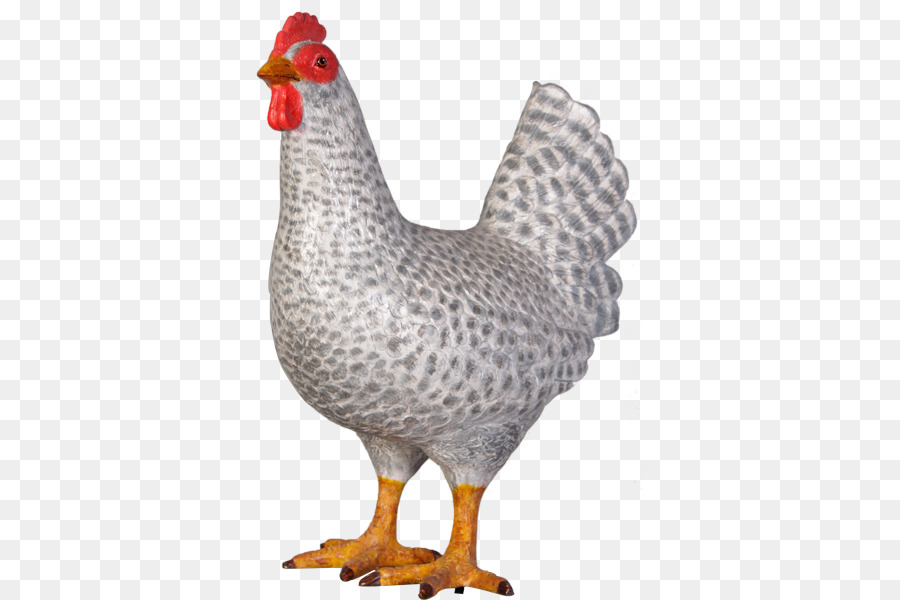 Gallo，Pollo PNG