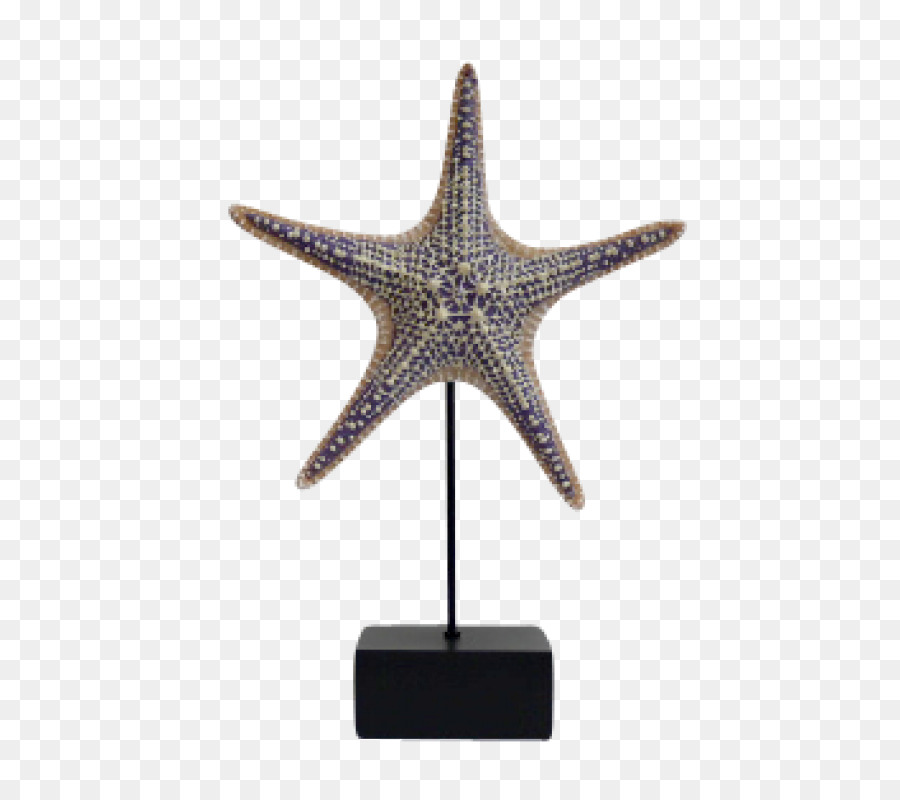 Estrella De Mar， PNG